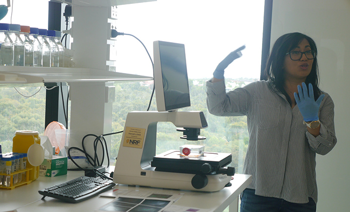 Dr Melinda Tea explains her research and the EVOS microscope's capabilities