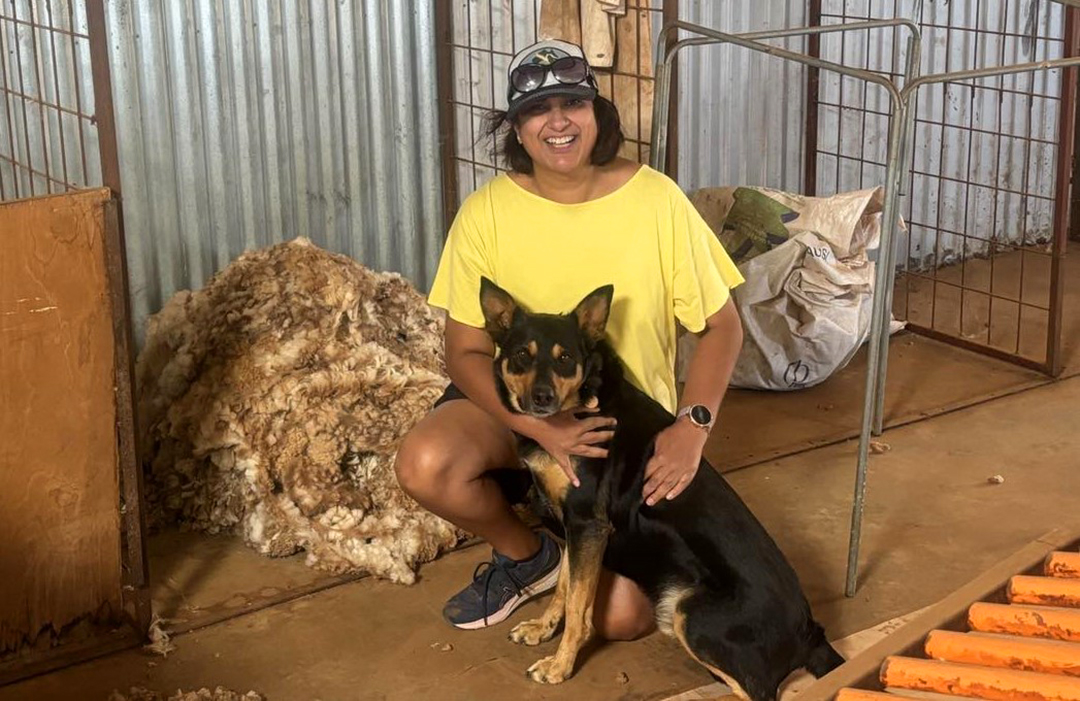 Joyti and Baz the kelpie in the shearing shed at Appila/Caltowie West