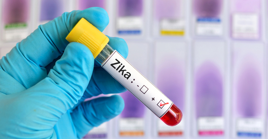Seeking a vaccine for the Zika virus