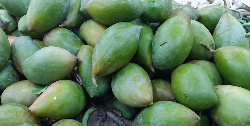 Green mango peel: a slick solution for oil contaminated soils