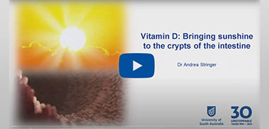 Vitamin D: Bringing sunshine to the crypts of the intestine